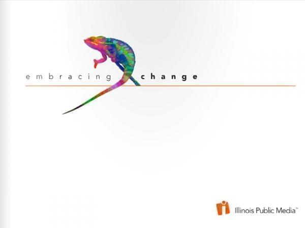 cover of the 2013 Illinois Public Media annual report