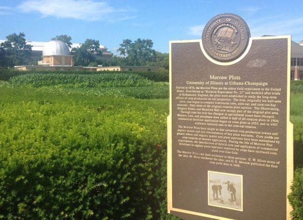 The Morrow Plots are the oldest experimental cornfield in the Western Hemisphere.