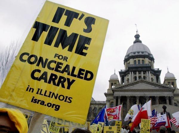 In this March 10, 2011 file photo, gun owners and supporters show their support during Gun Owners' Lobby Day at the Illinois State Capitol in Springfield.